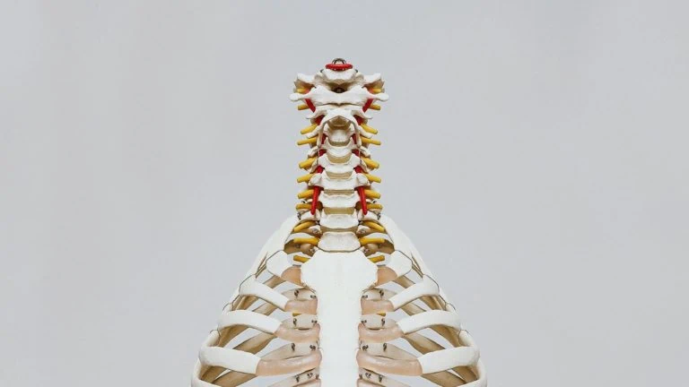 Cervical Spine: Structure, Disorders & Treatments