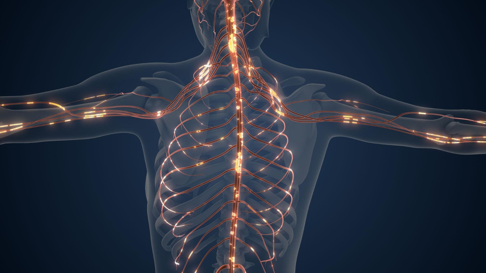 How Misalignment Can Negatively Impact the Nervous System