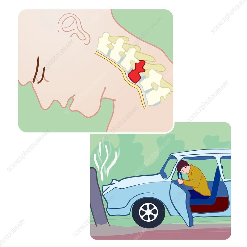 WhatsApp Image 2026-02-03 at 13.05.54